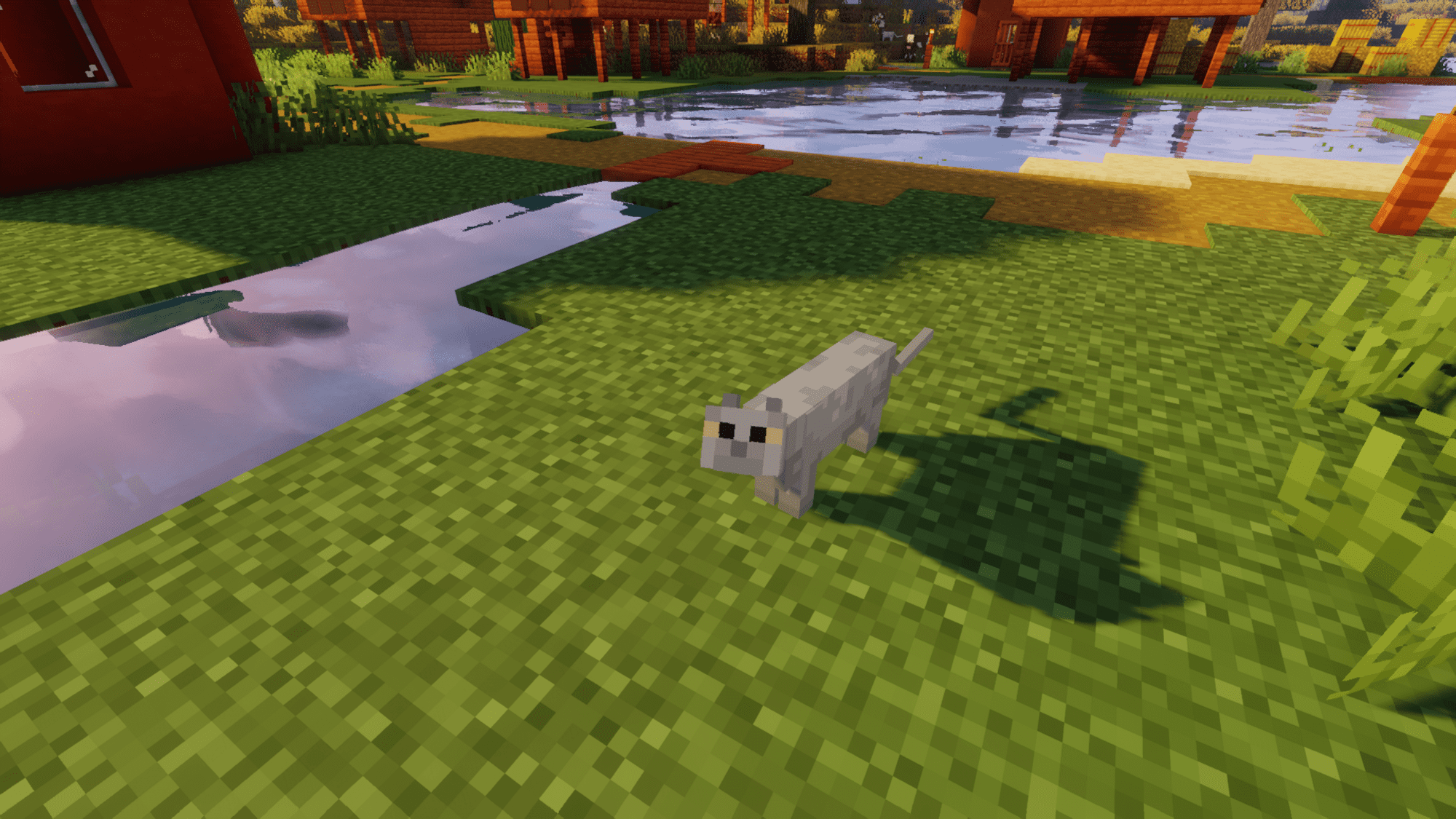 ocelot kitten minecraft