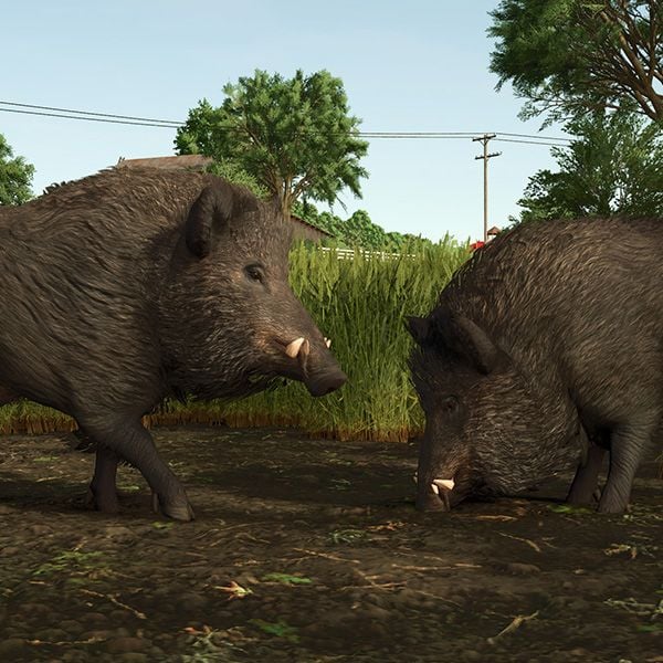 FS25 Vredo Pack: All Content, Machines & Release