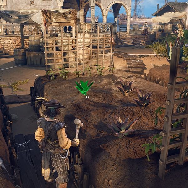 Windrose base locations: Find the perfect spot for your base