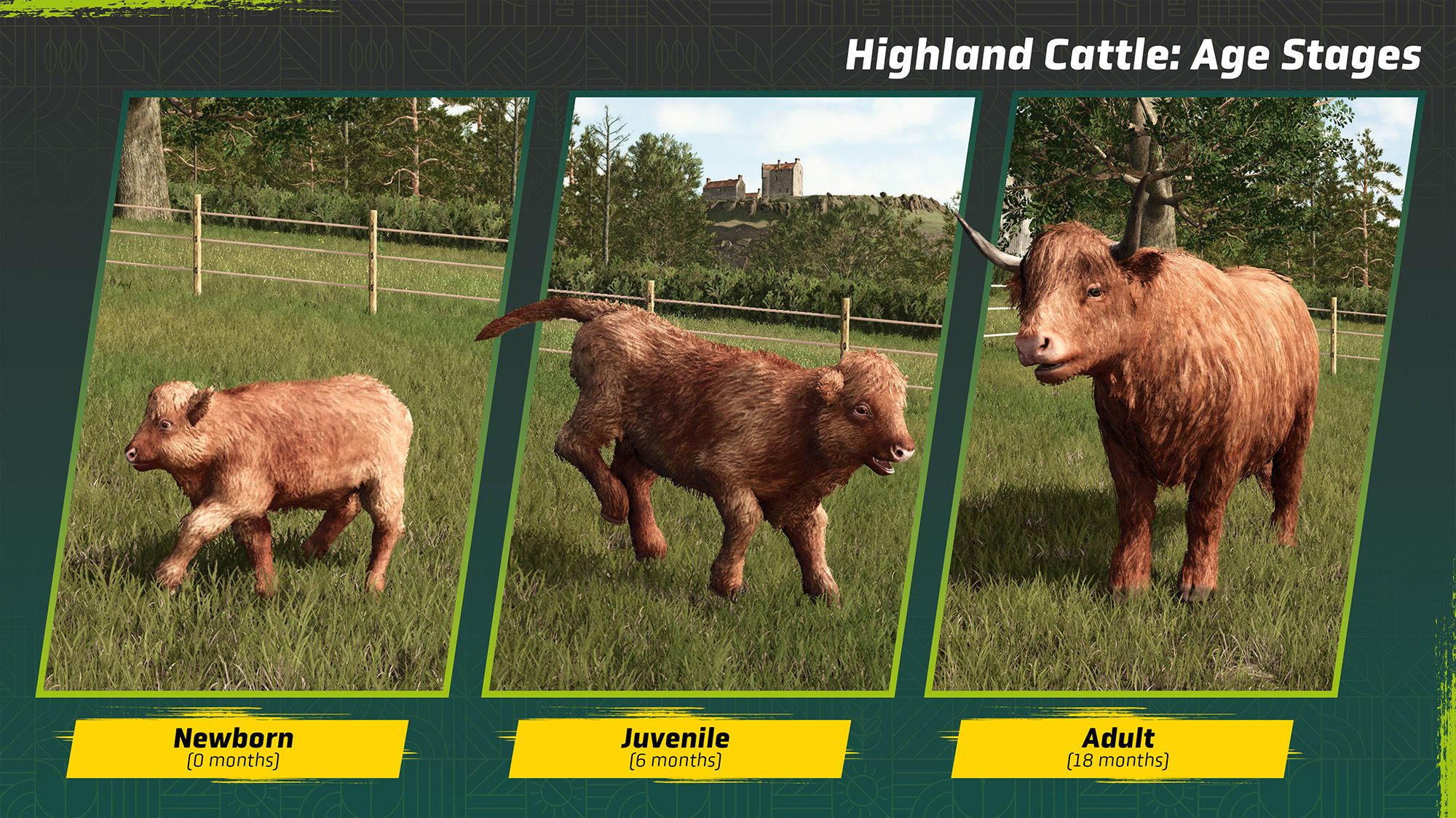 Gallery-FS25-Kinlaig-Map-Highland-Cattle.jpg