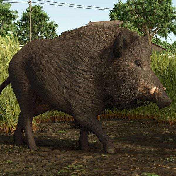 The “Vredo Pack” rolls onto your FS25 farm