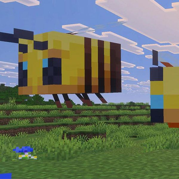 Cuteness Overload: Minecraft “Tiny Takeover” Now on GPORTAL!