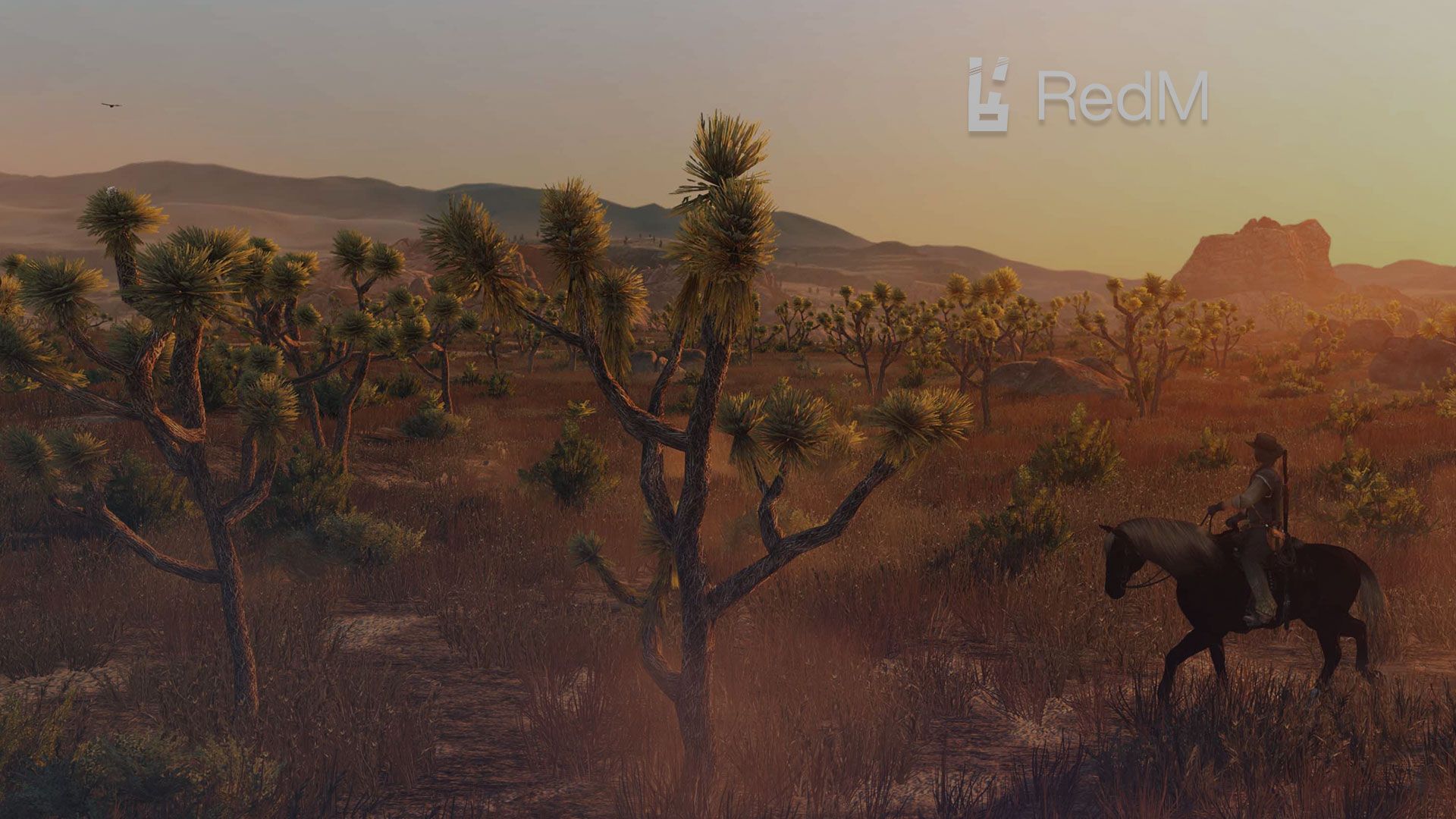 REDM SERVER MIETEN GAMESERVER VON G PORTAL COM intelligence overview