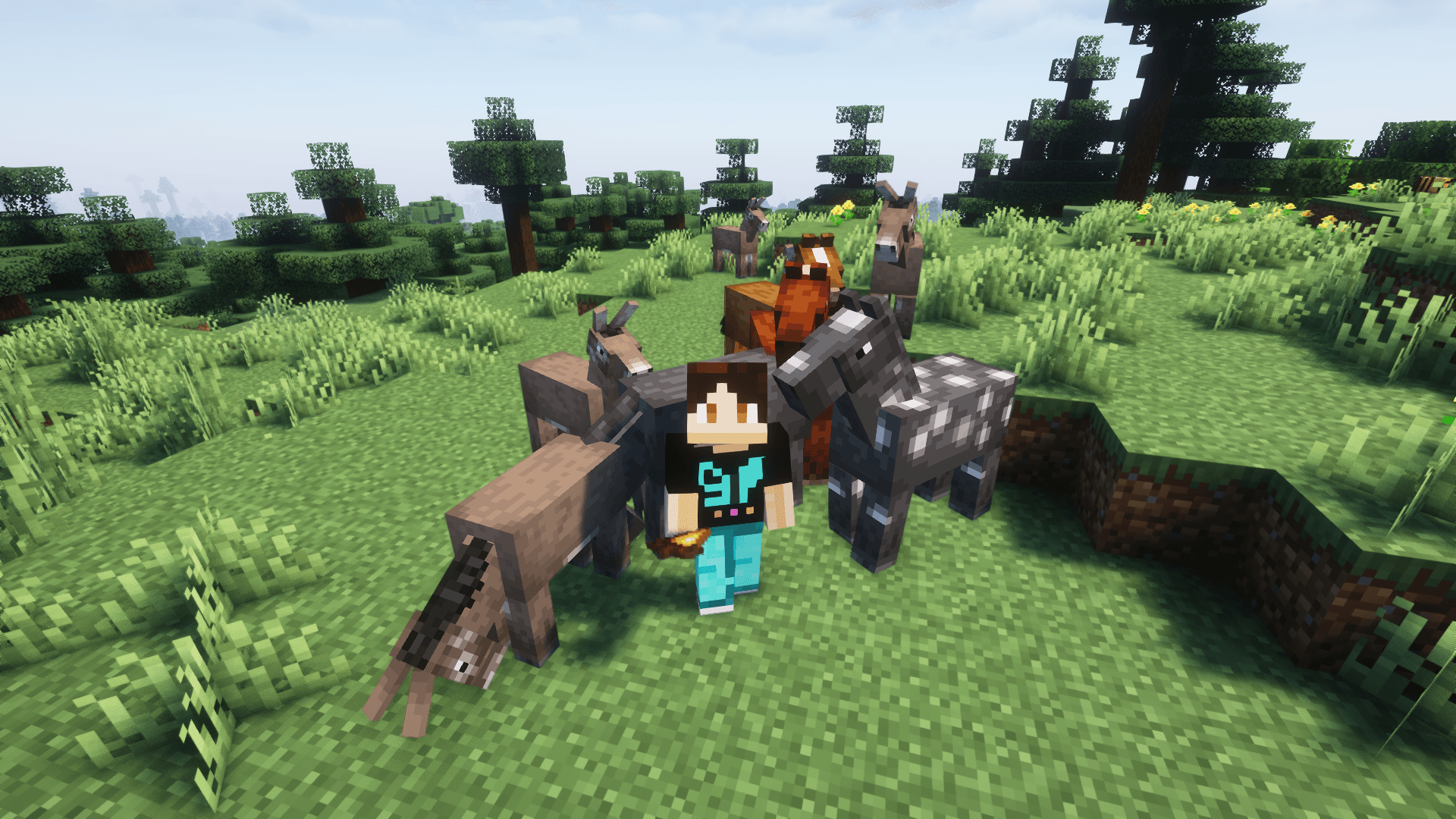mc-blog-gold-carrot-gallery2.png