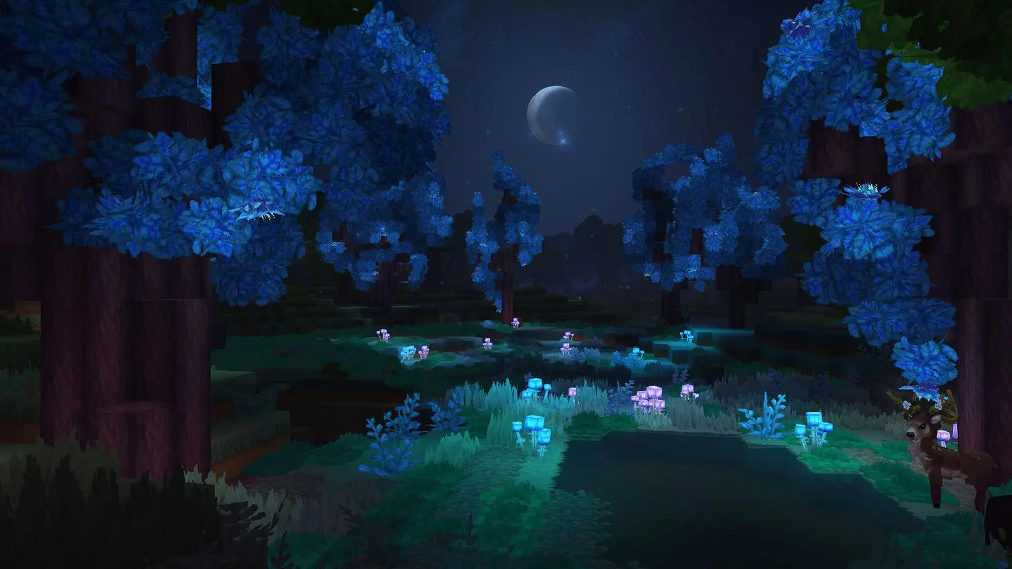 Slider Image undefined