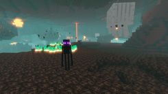 Gallery-Blog-Nether_0004_5.jpg