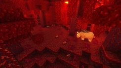 Gallery-Blog-Nether_0011_12.jpg