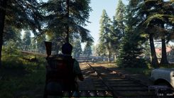 forest scene
