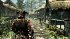 Skyrim Village