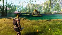Smalland frog