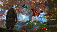 Smalland Butterflys