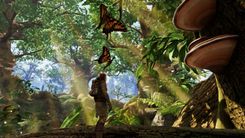 Smalland Butterflys