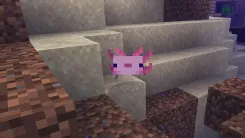 Minecraft - Screenshot 2